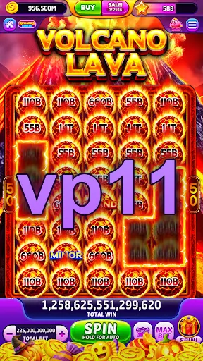 vp11 Login