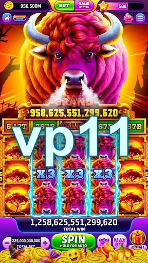 vp11 Login